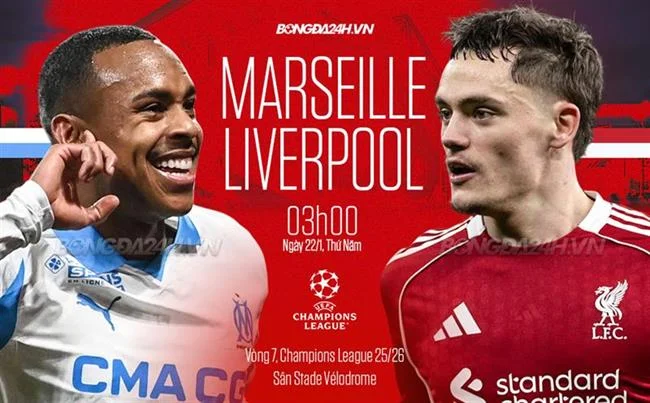 Đá gà trực tiếp tf88 bet